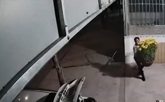 Đi xe ô tô nhưng người đàn ông này vẫn tiện tay bê trộm hai chậu hoa Tết