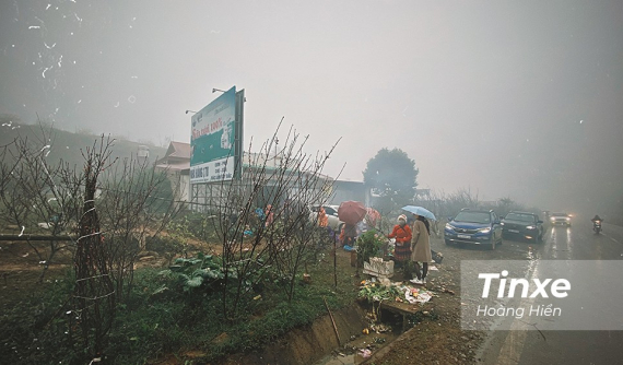 Lái ô tô trong thời tiết sương mù, tài xế cần lưu ý điều gì?