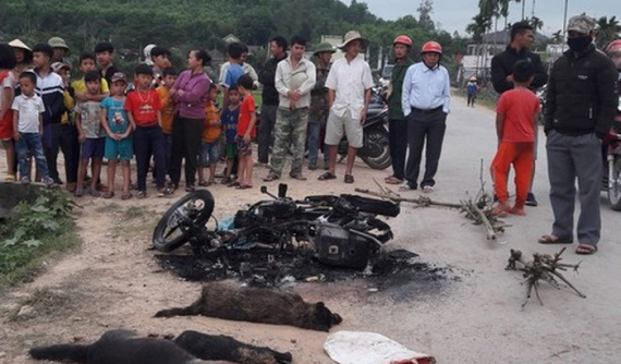 Nghệ An: Người dân đốt xe máy, đánh tử vong tên trộm chó ngay trên đường làng