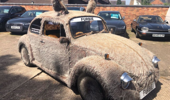 Chiếc Volkswagen Beetle 1978 "đặc biệt lông lá" này đang được chào bán giá 140 triệu đồng