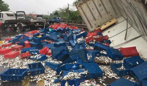 Quảng Bình: Ô tô tải bị lật, hàng nghìn con cá đông lạnh tràn ra quốc lộ 1A