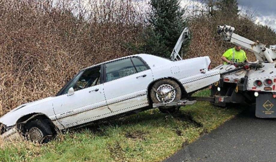 Dạy chó lái xe và chạy trốn cảnh sát ở vận tốc 175 km/h, người đàn ông bị tống vào tù