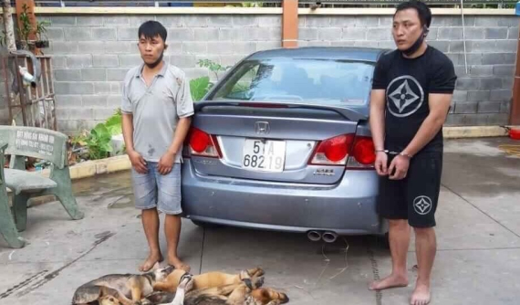 Bình Dương: Tóm băng trộm chó bằng ô tô Honda Civic ngay giữa dịch Covid-19