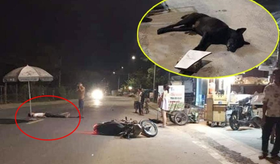 Quảng Nam: Tông vào chó thả rông, người đàn ông chạy xe máy bị thương nặng