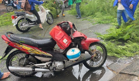 TP Hồ Chí Minh: Phượng lại "ngã" sau cơn mưa lớn, một shipper bị cây đè gãy xe