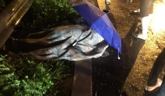 Chạy xe máy ngược chiều trên đại lộ Thăng Long, cô gái 18 tuổi tử vong