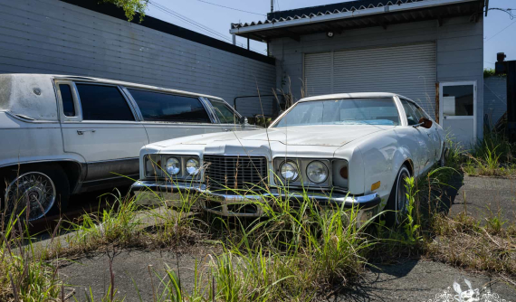 Những chiếc ô tô Mỹ bị phủ bụi và cỏ dại vây quanh tại đại lý bỏ hoang sau thảm họa sóng thần Nhật Bản