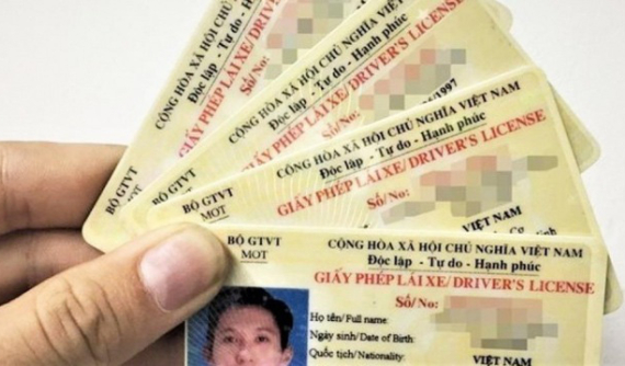 Đề xuất: Tài xế vi phạm giao thông bị trừ nhiều điểm GPLX phải mua bảo hiểm giá cao