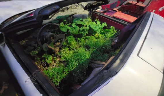 Tìm thấy chiếc Chevrolet Corvette từng bị đổ xi-măng ướt vào bên trong của nhà sáng lập giải đô vật Mỹ WWE