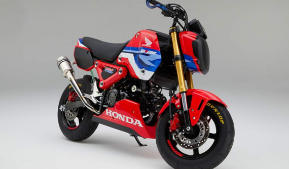 Sau phiên bản thường, Honda chính thức ra mắt Honda MSX 125 - Honda Grom phiên bản trường đua đầy hấp dẫn