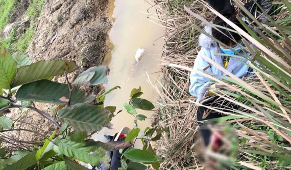 Video quay khoảnh khắc ô tô chạy lấn làn, tông văng cô gái xuống mương nước tại Nghệ An rồi bỏ chạy