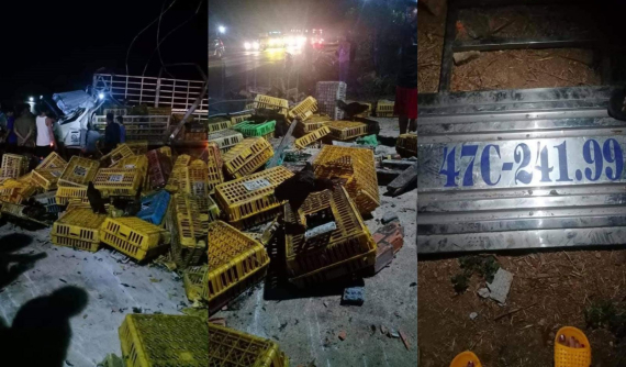 Đắk Lắk: Ô tô tải chở gà bị lật, 3 người thương vong