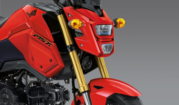 Honda MSX 125 Grom chuẩn bị được ra mắt chính hãng tại Việt Nam?