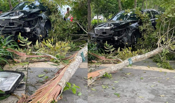Quảng Ninh: Mercedes-Benz S-Class lao lên vỉa hè, tông gãy nhiều cây xanh