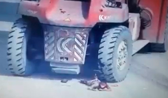 Video: Nam tài xế bị xe nâng cán nát 2 chân trong cảng container quốc tế SP-ITC