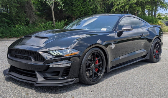 "Siêu rắn" Shelby Super Snake âm thầm về Việt Nam, hàng độc cho ai thích tốc độ và sưu tầm