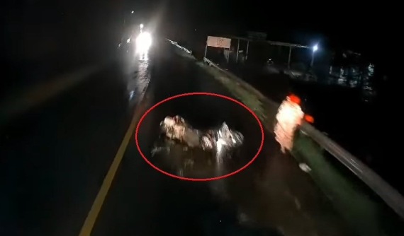 Video: Bị "mù tạm thời" vì đèn pha ngược chiều, tài xế ô tô lao vào hiện trường tai nạn trên quốc lộ 55