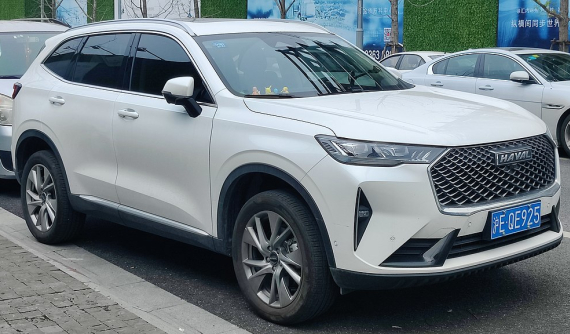 Tài xế khóc thét vì xe Trung Quốc Haval H6 mất phanh khi cài Cruise Control trên 100 km/h, bình yên chỉ đến khi xe hết xăng