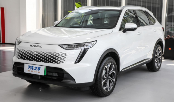 SUV cỡ D Haval Xiaolong MAX bị phản ánh "chai pin"