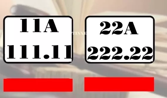 2 siêu biển thất quý chuẩn bị được mang đấu giá công khai khiến các đại gia "thèm khát", liệu sẽ có mức giá đột biến
