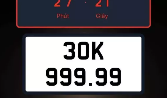 Đấu lần 1 được trả 75 tỷ đồng, siêu biển 30K-999.99 mang ra đấu lần 2 chỉ hơn 30 tỷ đồng
