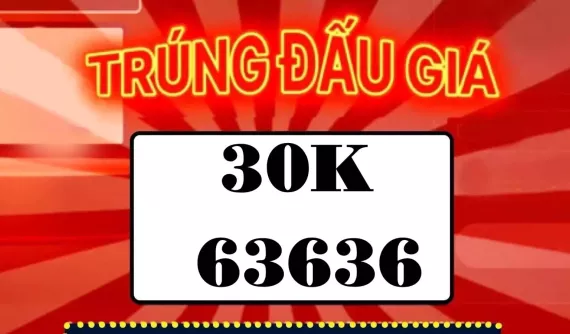 Đại gia chi hơn nửa tỷ đồng để sở hữu biển 30K-636.36, nhìn mãi mới thấy độc chỗ này