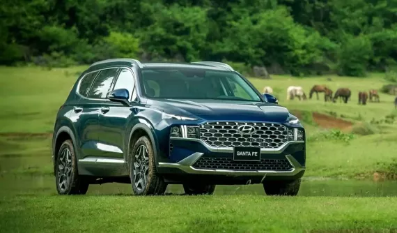 Doanh số SUV hạng D tháng 8/2024: Hyundai Santa Fe vẫn bán tốt trước thời điểm thế hệ mới ra mắt