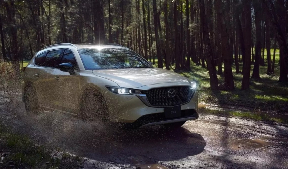 Doanh số SUV hạng D tháng 1/2025: Mazda CX-8 giữ phong độ tốt nhất phân khúc