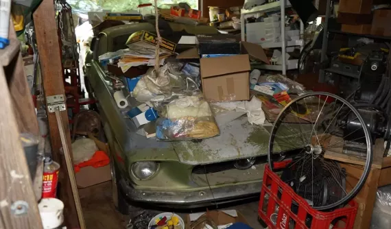 Phát hiện "rắn hổ mang" Shelby GT500 1967 bị bỏ quên trong nhà kho hơn 38 năm