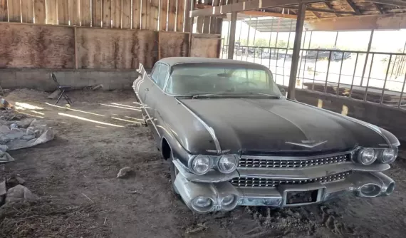 "Bà trùm cò" xe Cadillac phát hiện ra 1 báu vật đã nằm im trong nhà kho suốt 20 năm
