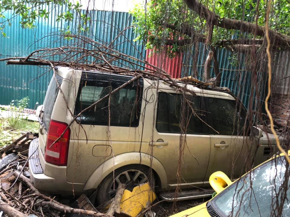 Các rễ cây bám xung quanh chiếc Land Rover Discovery này
