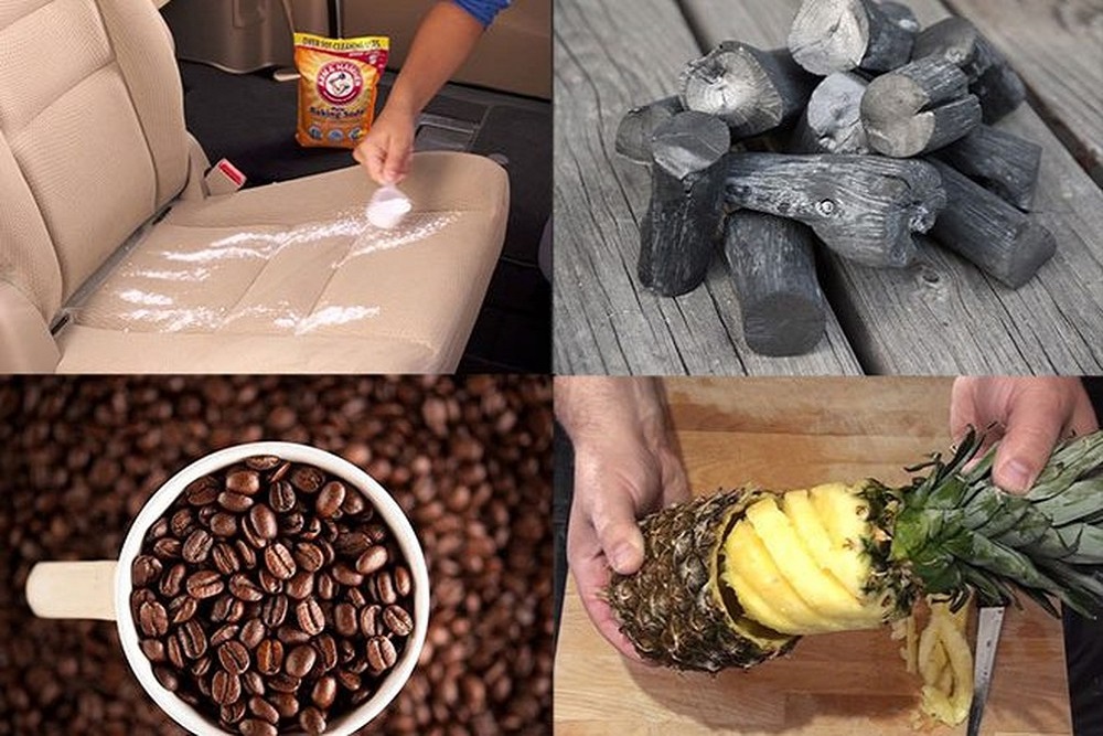 Dứa, hạt cà phê, than hoạt tính và bột baking soda có tác dụng khử mùi xe mới hiệu quả và khá an toàn Dứa, hạt cà phê, than hoạt tính và bột baking soda có tác dụng khử mùi xe mới hiệu quả và khá an toàn