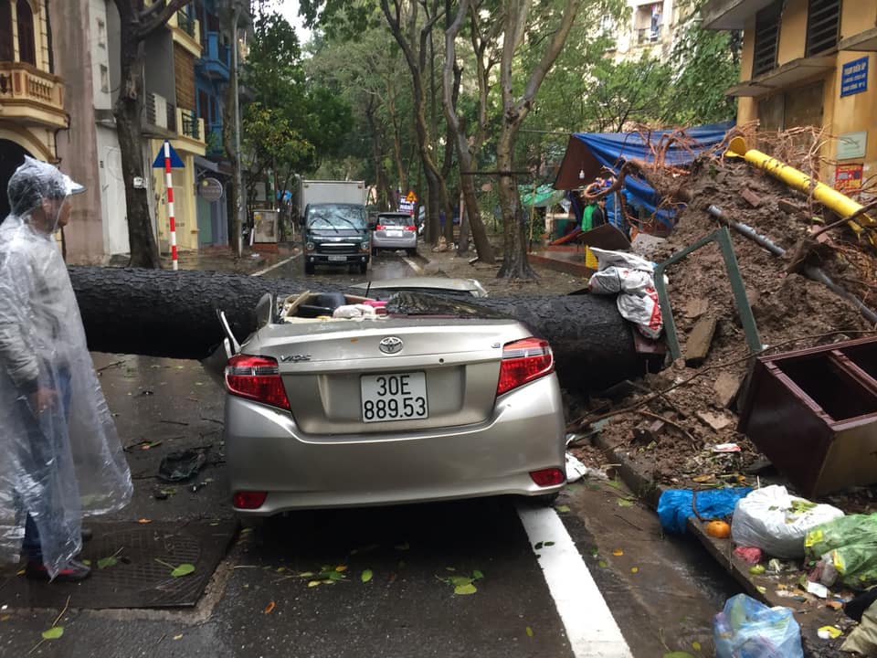 Tại khu đô thị Định Công, Hoàng Mai, một cây lớn bật gốc đổ thẳng vào xe ô tô mang nhãn hiệu Toyota Vios ở ven đường khiến toàn bộ cabin xe hư hại, rất may không có thiệt hại về người Tại khu đô thị Định Công, Hoàng Mai, một cây lớn bật gốc đổ thẳng vào xe ô tô mang nhãn hiệu Toyota Vios ở ven đường khiến toàn bộ cabin xe hư hại, rất may không có thiệt hại về người