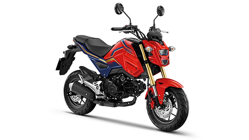 Màu đỏ cùng tem mới trên Honda MSX 125SF 2020