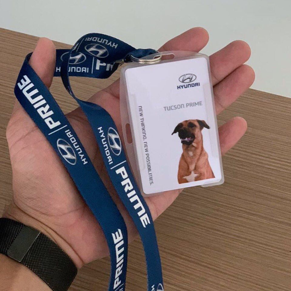 Thẻ nhân viên của chú chó