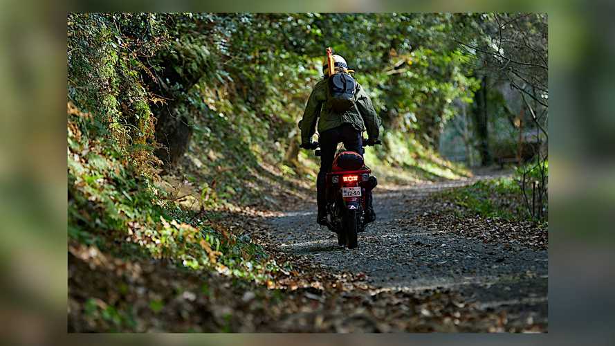 Một số hình ảnh đẹp của Honda Trail 125 ABS 2021