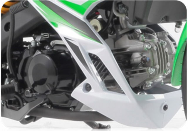 Động cơ 125 phân khối trên Kawasaki Fury 125 Động cơ 125 phân khối trên Kawasaki Fury 125