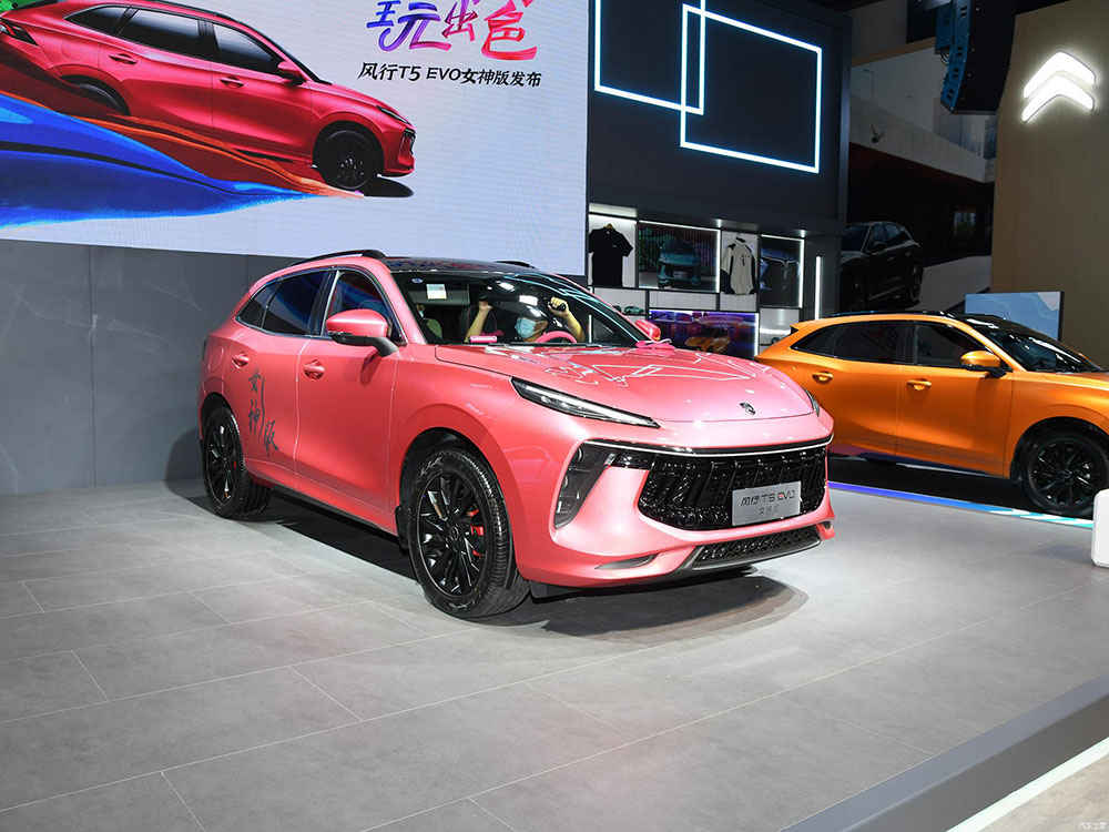 Phiên bản Nữ Thần của Dongfeng Fengxing T5 EVO