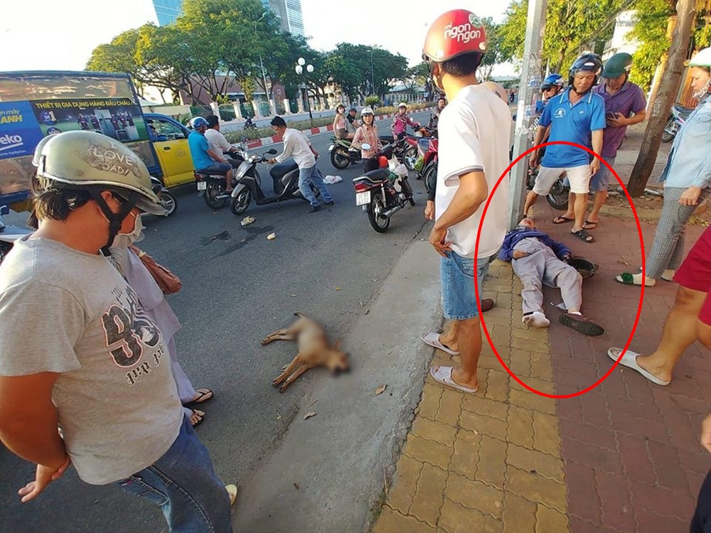 Thả rông vật nuôi, gia súc mà gây tai nạn chết người có thể bị truy tố hình sự. Thả rông vật nuôi, gia súc mà gây tai nạn chết người có thể bị truy tố hình sự.