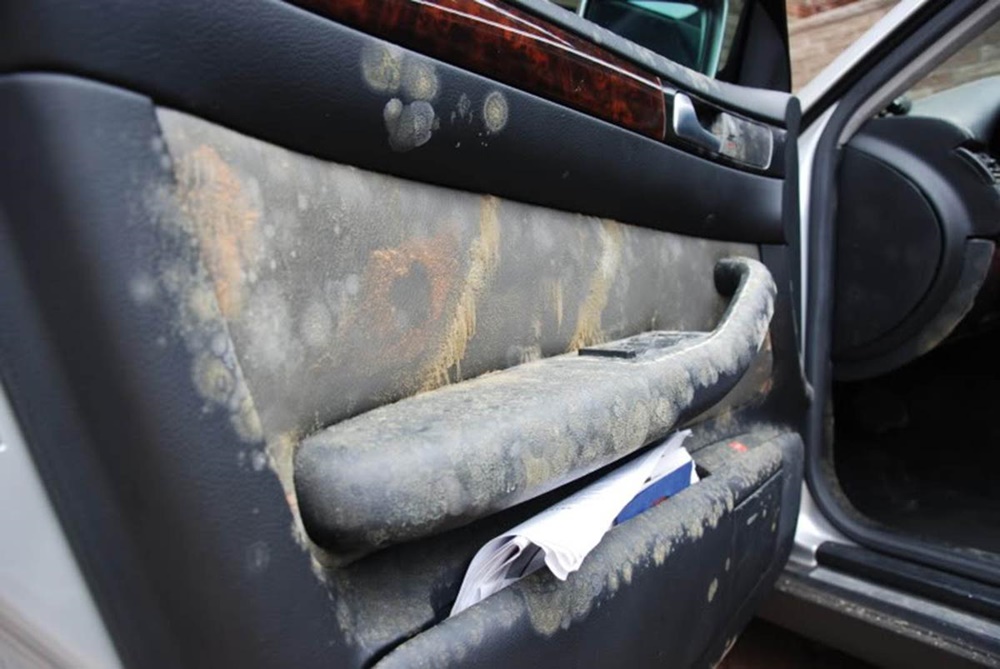 Nếu bên trong xe có mùi ẩm mốc hoặc nước hoa quá nồng thì đó là dấu hiệu xe đã bị ngập nước.