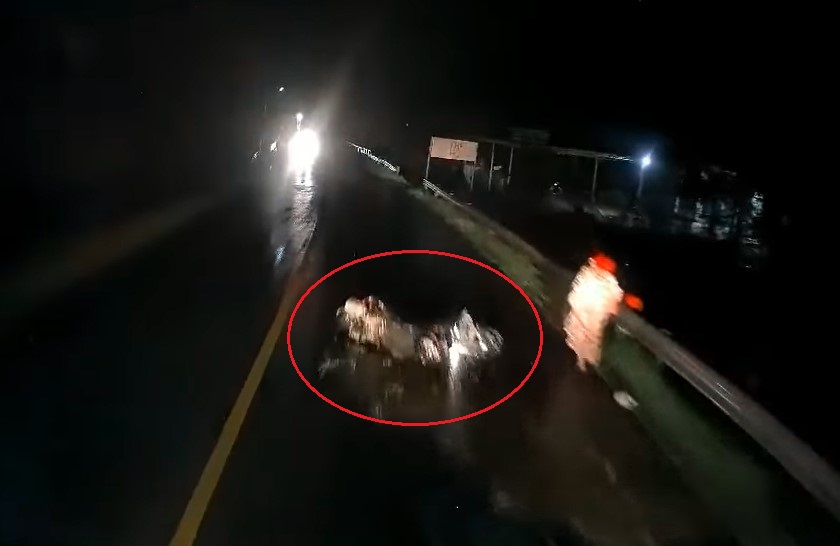 Chiếc ô tô lắp camera hành trình lao vào hiện trường vụ tai nạn Chiếc ô tô lắp camera hành trình lao vào hiện trường vụ tai nạn