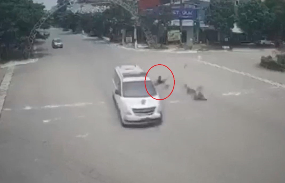 Người đi xe máy bị hất văng xuống đường và tử vong Người đi xe máy bị hất văng xuống đường và tử vong