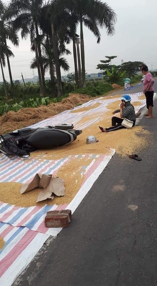 Một người phụ nữ bị tai nạn vì thóc phơi trên đường Một người phụ nữ bị tai nạn vì thóc phơi trên đường