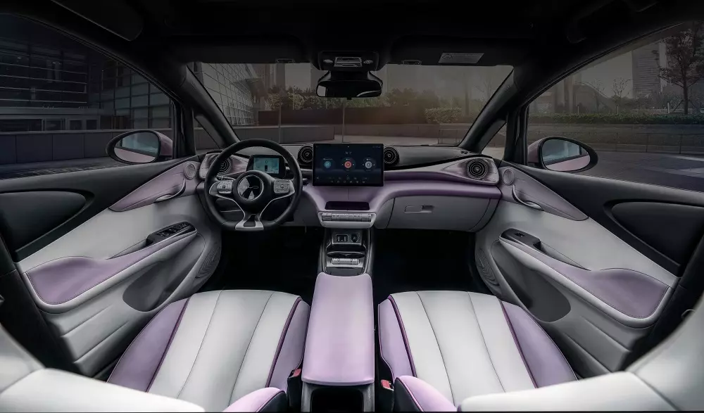 BYD Dolphin's Interior in Pink and Gray