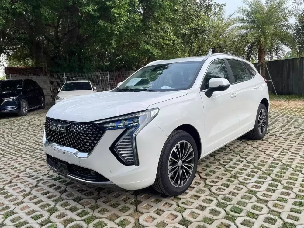 Những chiếc Haval Jolion đã nhanh chóng được đưa về đại lý. Những chiếc Haval Jolion đã nhanh chóng được đưa về đại lý.