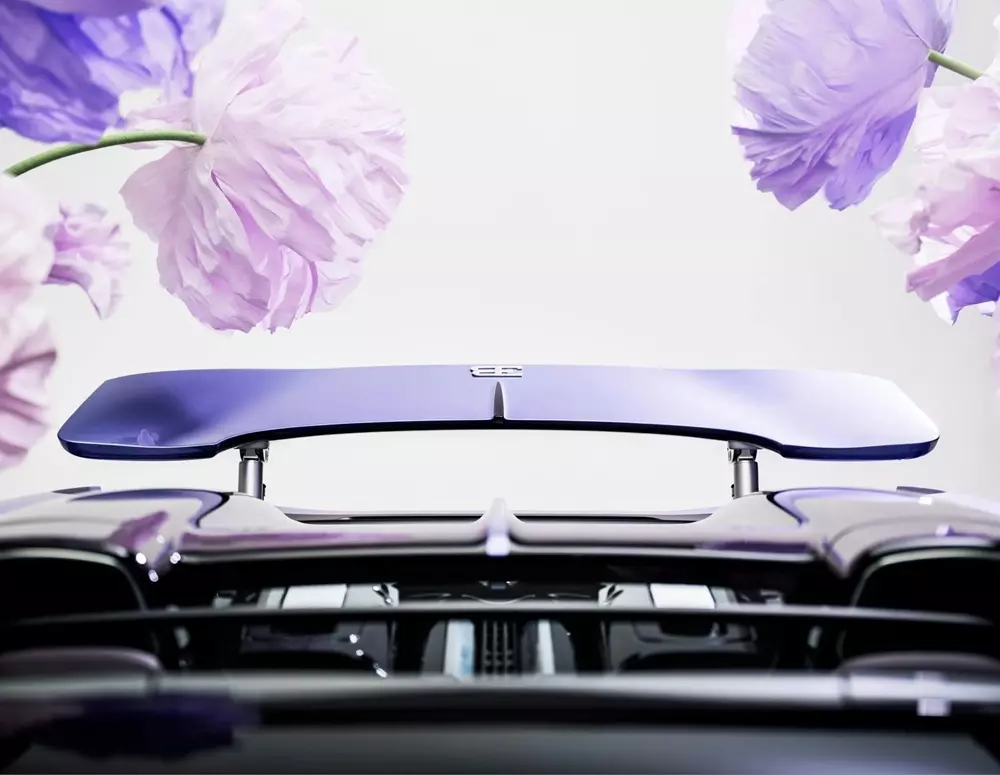 Mặt trên của cánh gió sau trên chiếc Bugatti W16 Mistral “Caroline Mặt trên của cánh gió sau trên chiếc Bugatti W16 Mistral “Caroline