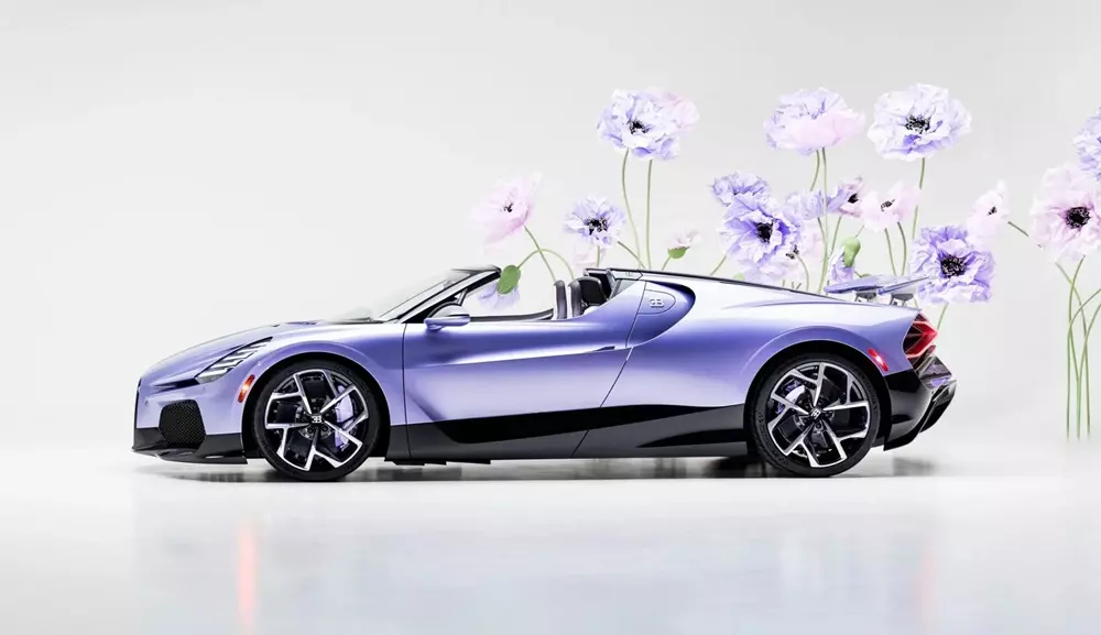 Bugatti W16 Mistral “Caroline còn có sợi carbon màu tím Bugatti W16 Mistral “Caroline còn có sợi carbon màu tím