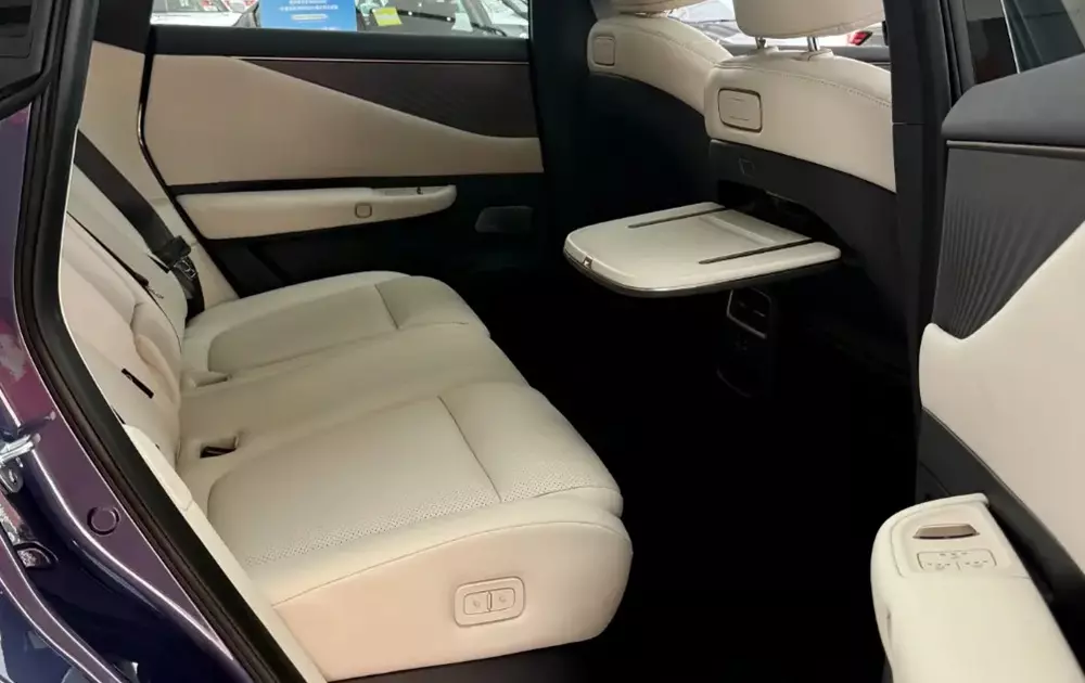 Hàng ghế sau của Nissan NX8 